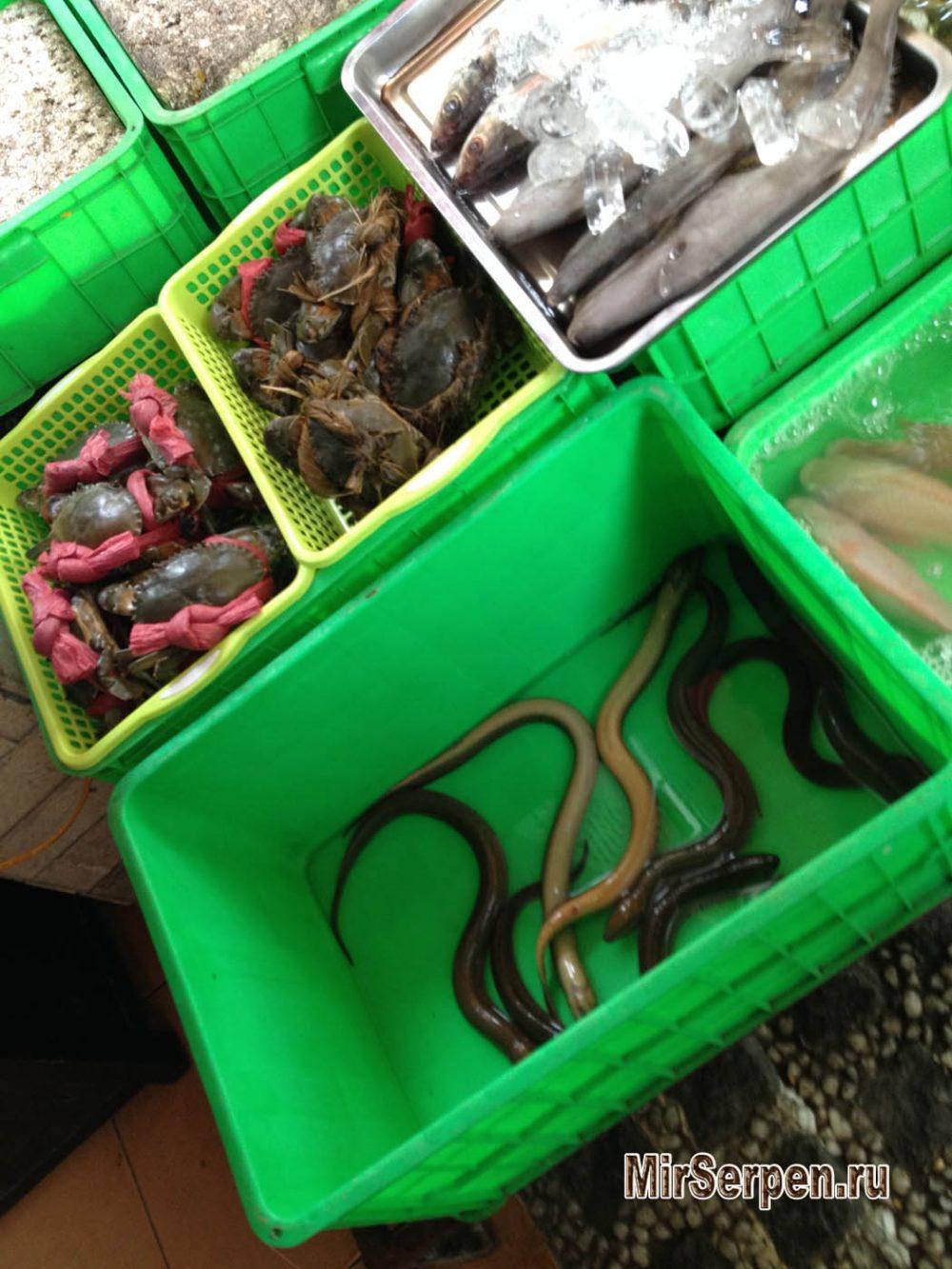 Как вы относитесь к экзотической кухне? Как вы относитесь к экзотической кухне?