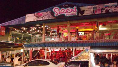 Предновогодняя история про таек и морскую пехоту