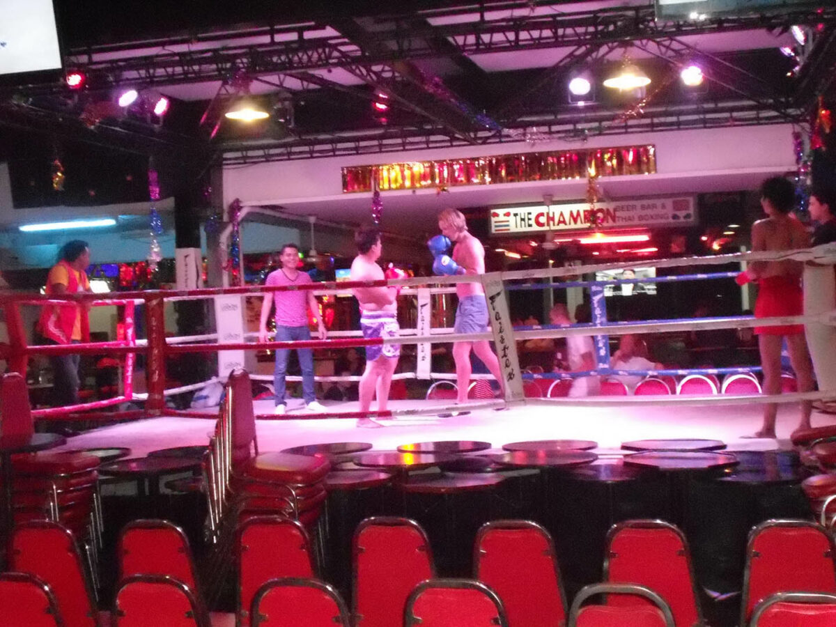 Предновогодняя история про таек и морскую пехоту