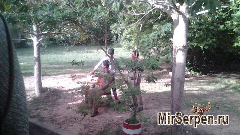 Забавная Камбоджа