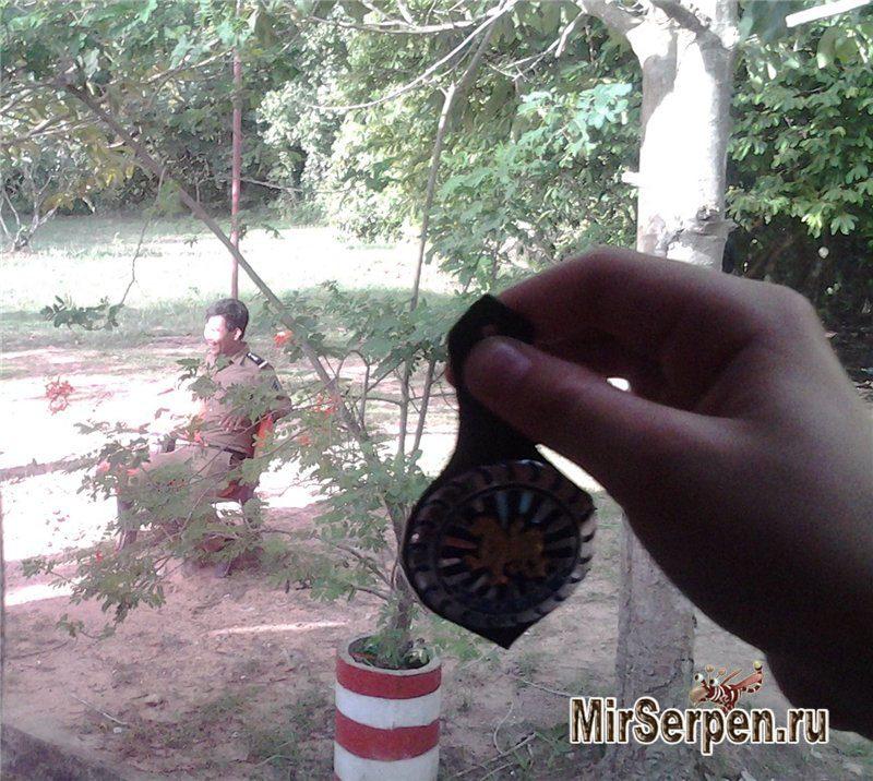 Забавная Камбоджа