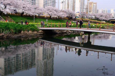 Блоги про Южную Корею