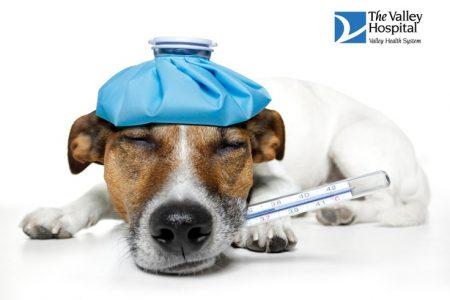 Как не заболеть на Филиппинах