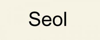 Слог Seol /설 / Соль Слог Seol /설 / Соль