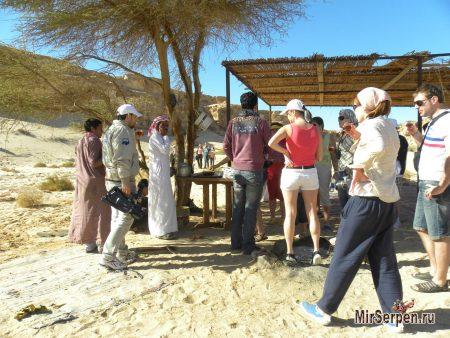 Отношение к гигиене в египетских кафе