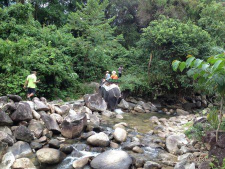 Неожиданное купание со слонами в Таиланде Неожиданное купание со слонами в Таиланде