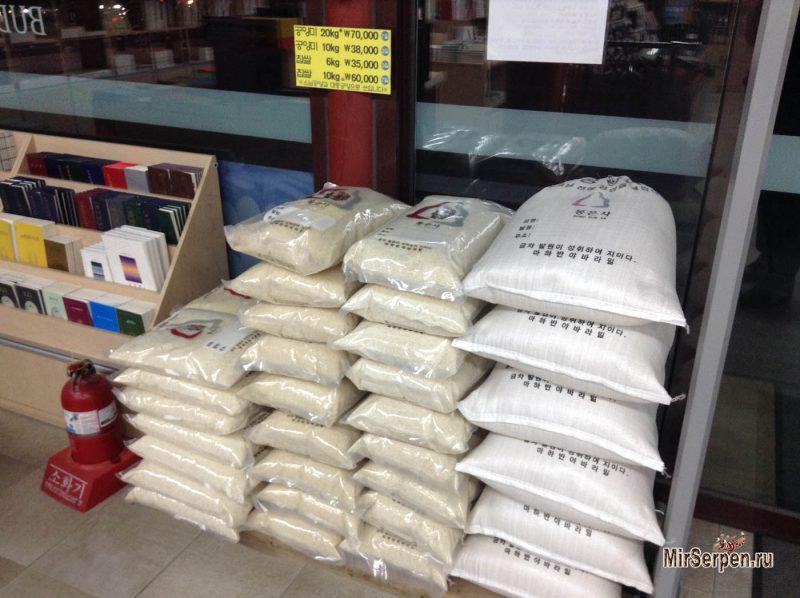 Корейская популярная музыка и рис Корейская популярная музыка и рис