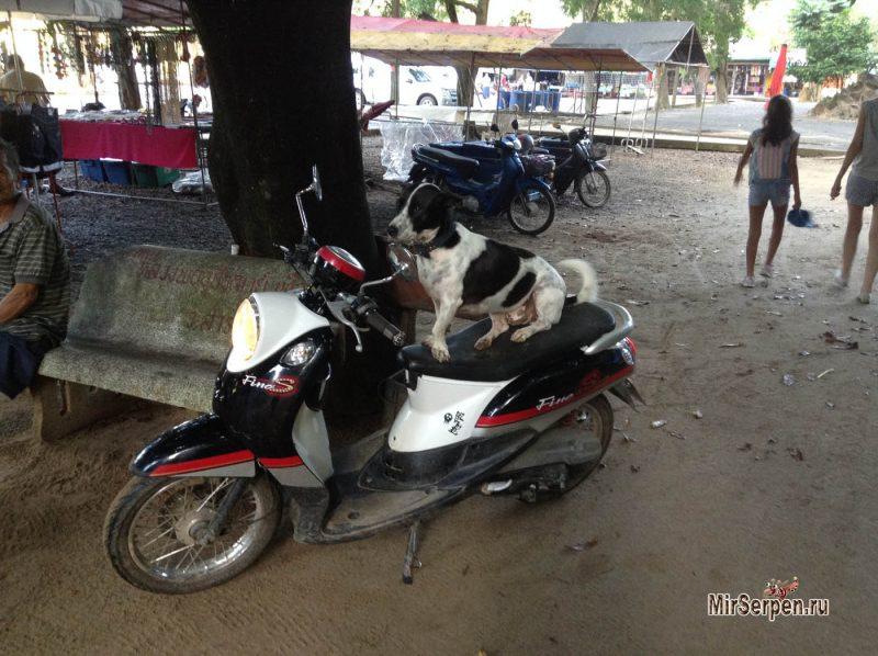 Насколько важно путешественнику обучаться фотоделу?
