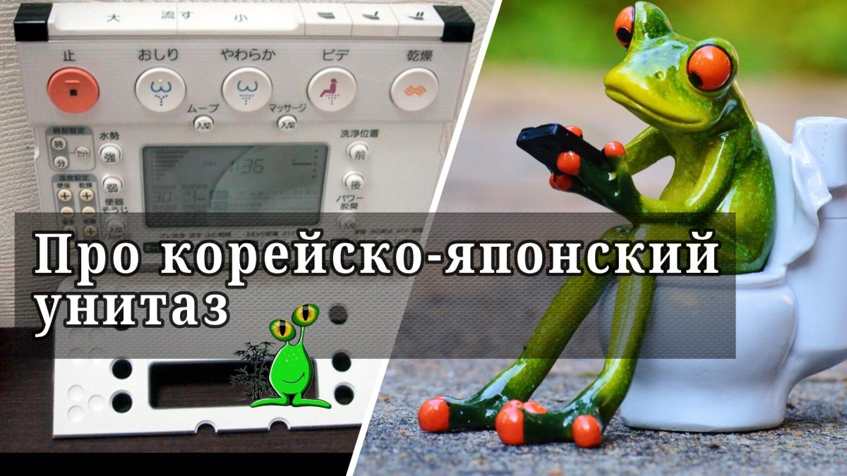 Про корейско-японский унитаз Про корейско-японский унитаз