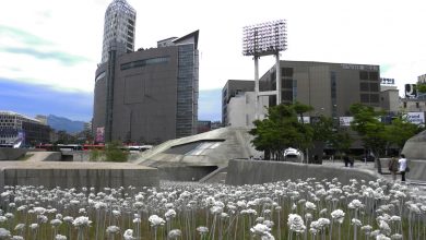 Планирование поездки в Южную Корею: Галопом по Корее Планирование поездки в Южную Корею: Галопом по Корее