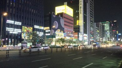 Планирование поездки в Южную Корею: Когда и в поисках чего? Планирование поездки в Южную Корею: Когда и в поисках чего?