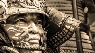 Легендарная японская вежливость и эволюция собак: что у них... общего?!