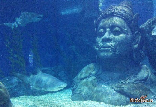 В каких случаях брак с тайкой обречен В каких случаях брак с тайкой обречен