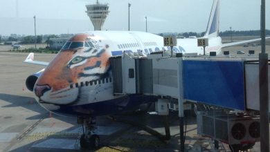 Мини-аптечка в самолет: стоит ли брать с собой? Мини-аптечка в самолет: стоит ли брать с собой?