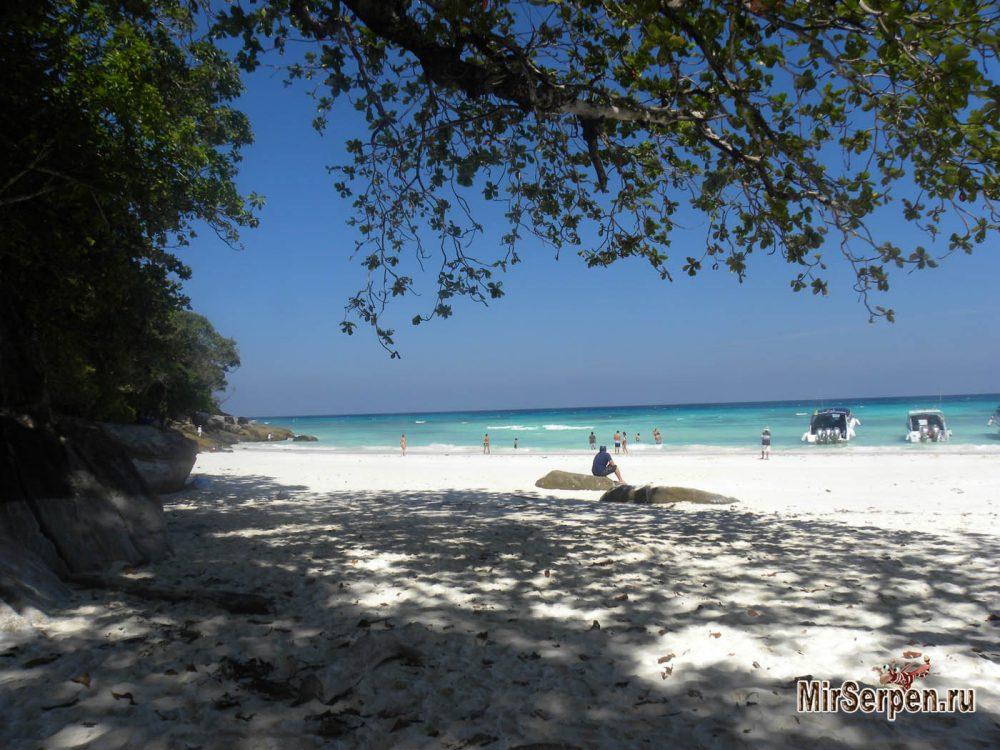 iСвалил: Судьба эмигранта - уехать, чтобы стать никем? iСвалил: Судьба эмигранта - уехать, чтобы стать никем?