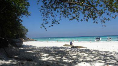 Судьба эмигранта - уехать, чтобы стать никем?