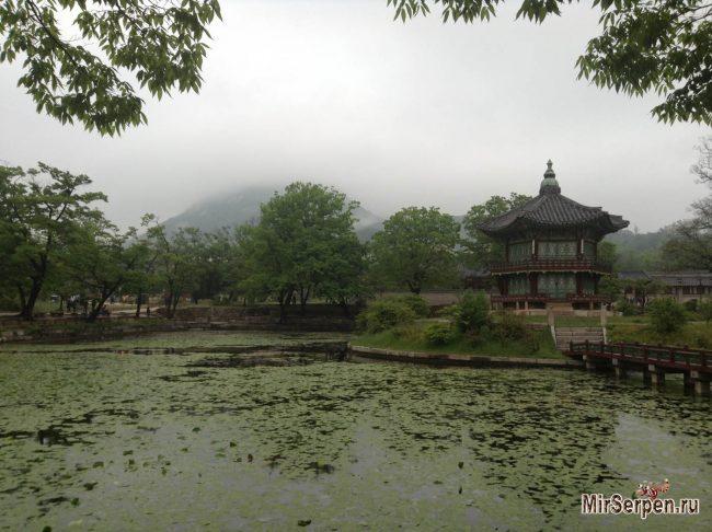 Про Азию: Стоит ли быть своим для азиатов Про Азию: Стоит ли быть своим для азиатов