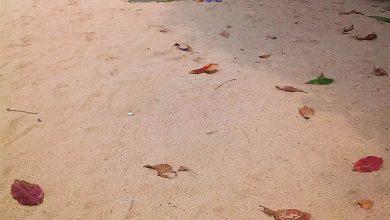 В Паттайе грязные пляжи, говорят... В Паттайе грязные пляжи, говорят...