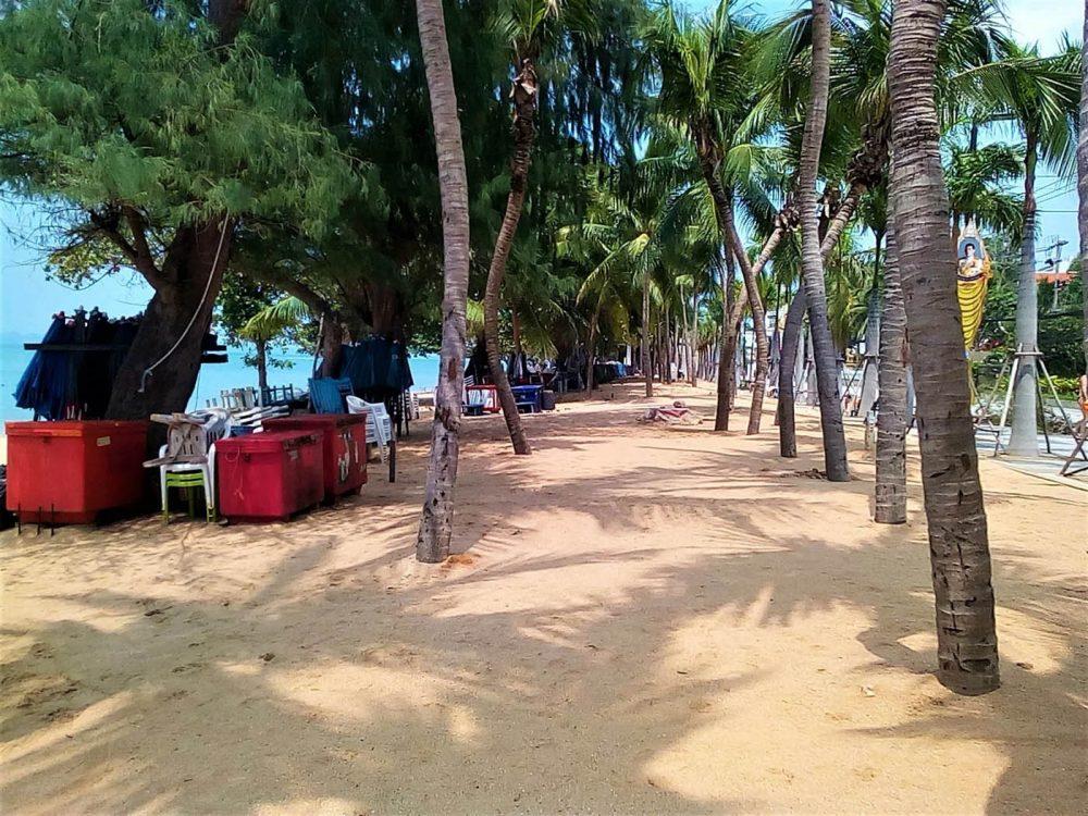 В Паттайе грязные пляжи, говорят... В Паттайе грязные пляжи, говорят...