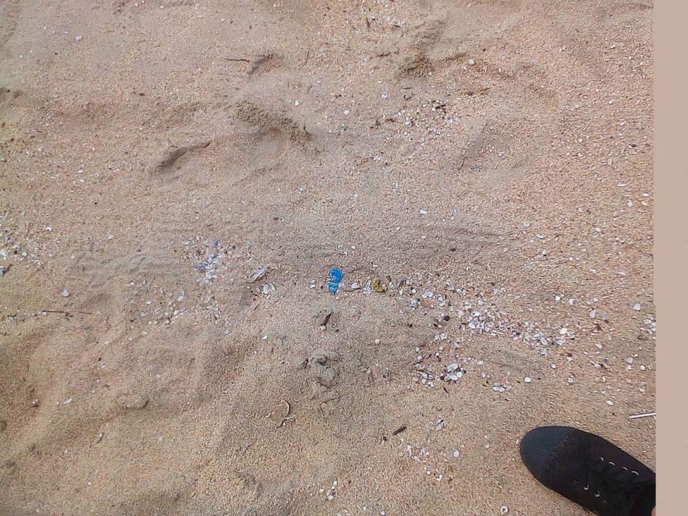 В Паттайе грязные пляжи, говорят... В Паттайе грязные пляжи, говорят...