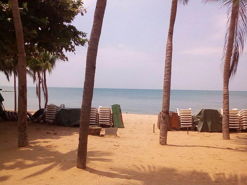 В Паттайе грязные пляжи, говорят... В Паттайе грязные пляжи, говорят...