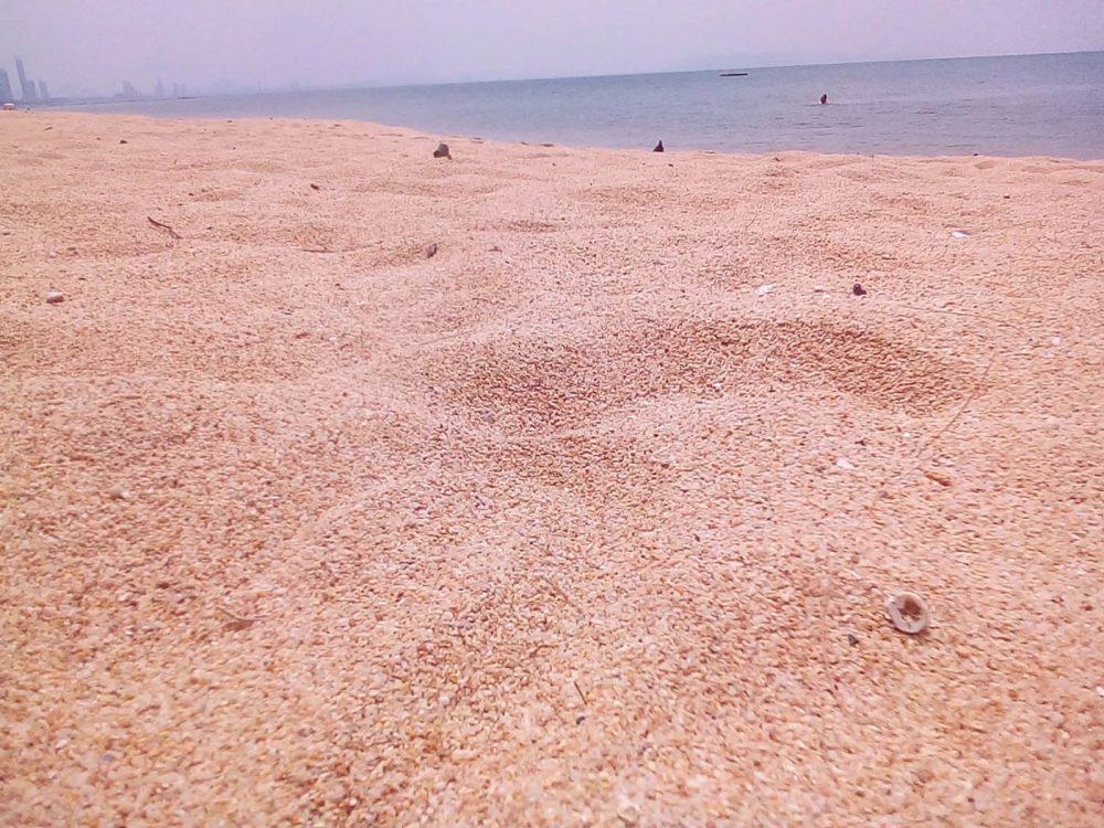 В Паттайе грязные пляжи, говорят... В Паттайе грязные пляжи, говорят...