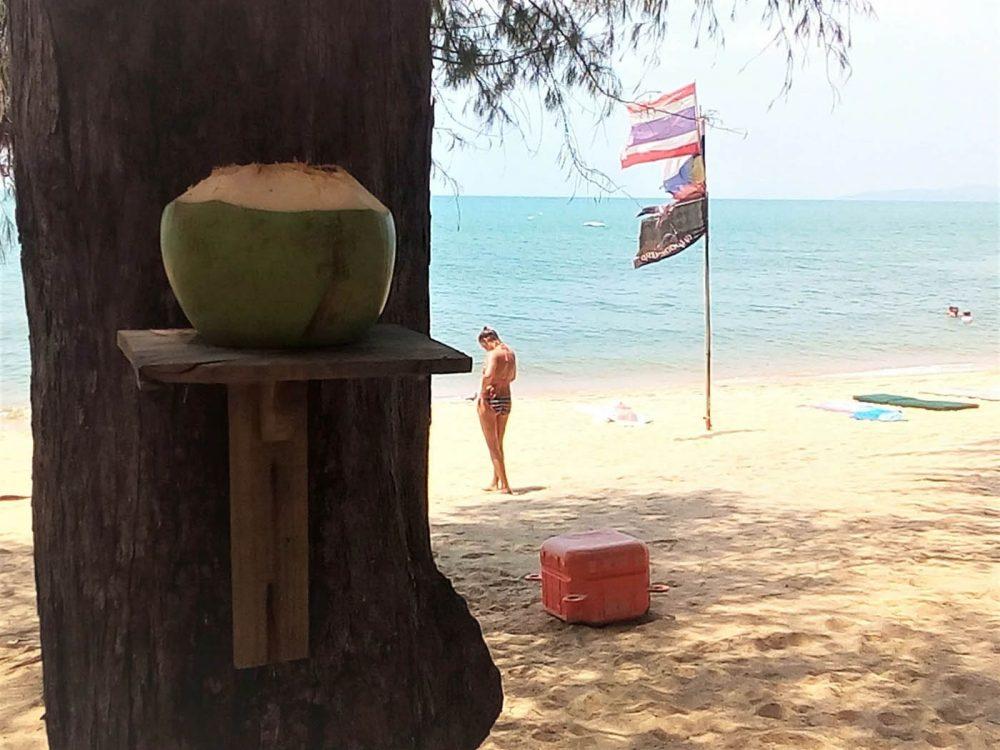 В Паттайе грязные пляжи, говорят... В Паттайе грязные пляжи, говорят...