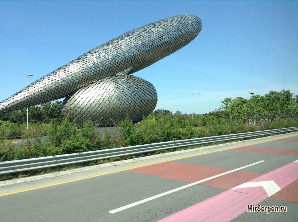 История общения с южным корейцем и значение статуса человека в Азии