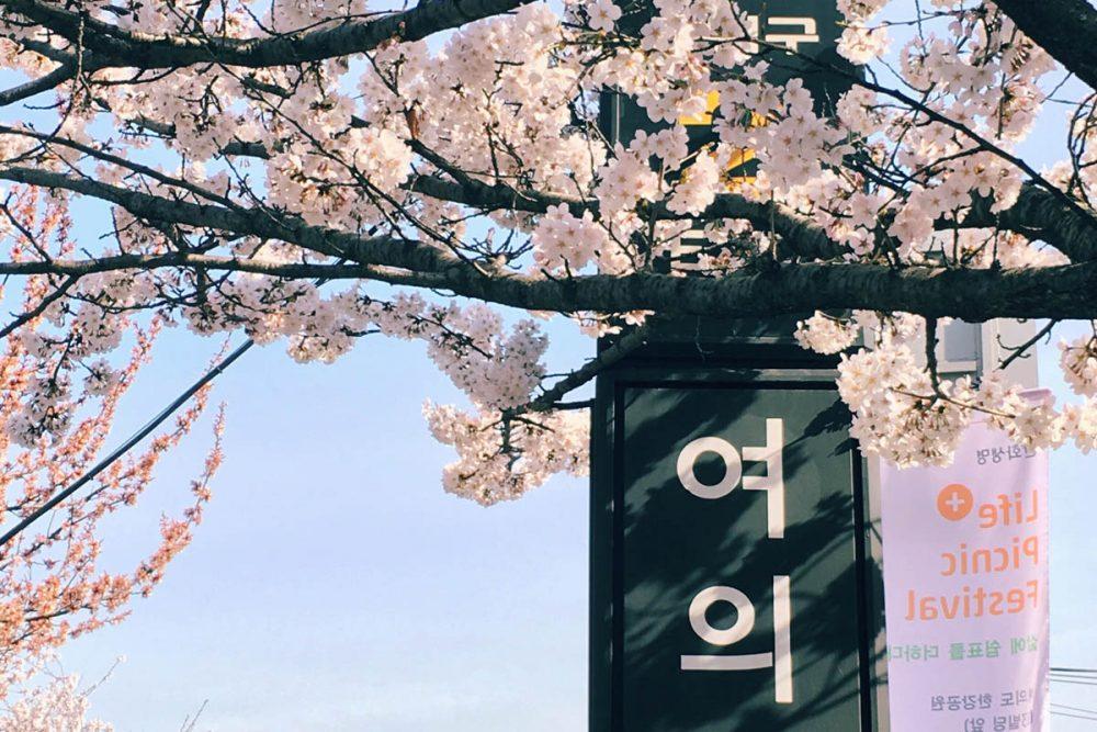 Корейские пословицы