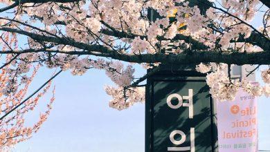 Корейские пословицы Корейские пословицы