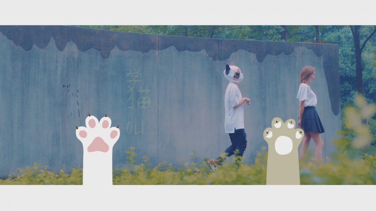 "Мяу" по-китайски значит "Люблю" "Мяу" по-китайски значит "Люблю"