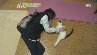 Корейская девушка и парализованная кошка