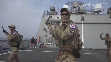 Тренировки по ножевому бою южнокорейского спецназа ВМС