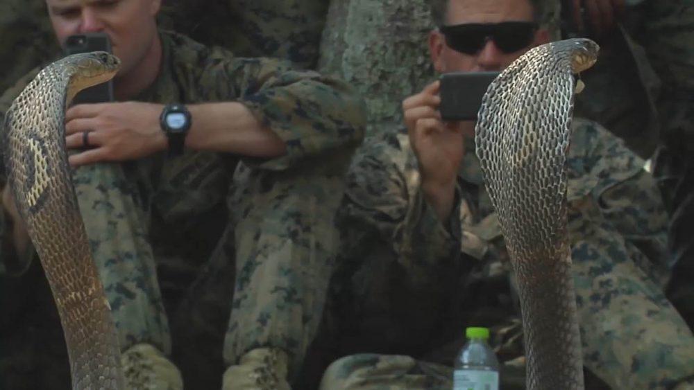 Выживание в тайских джунглях: Вкусные змеи и пауки Выживание в тайских джунглях: Вкусные змеи и пауки