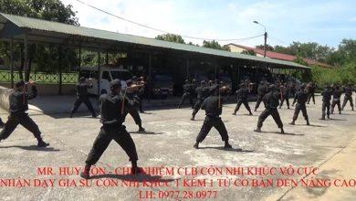 40 приемов с нунчаку от Мастера Хай Кона из Вьетнама 40 приемов с нунчаку от Мастера Хай Кона из Вьетнама