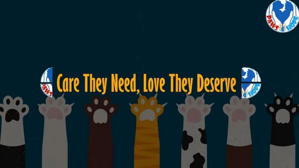 Тайские истории: Надежда для четырехлапых