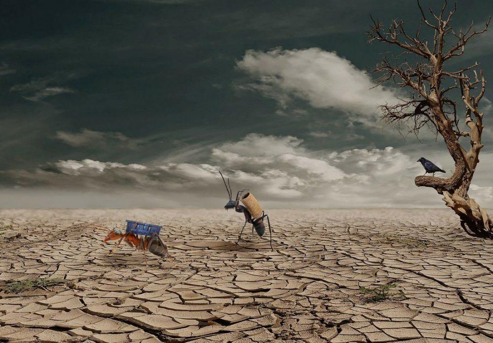 Лучшие страны для эмиграции