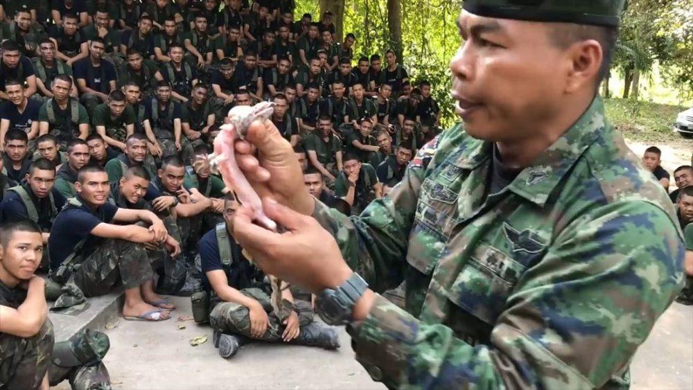 Тайский инструктор учит есть ящерицу Тайский инструктор учит есть ящерицу