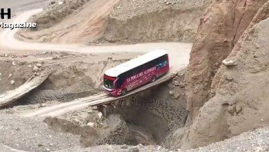 Вы еще не боитесь путешествовать на автобусе? Вы еще не боитесь путешествовать на автобусе?