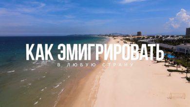 5 шагов для иммиграции в любую страну