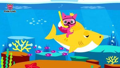 Песня Baby Shark от PINKFONG