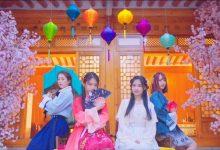 Четыре сезона вместе с SNH48 Четыре сезона вместе с SNH48