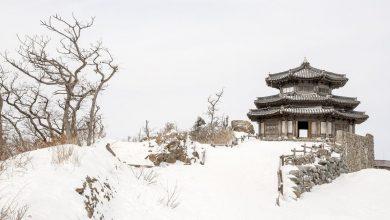 Большая подборка корейских пословиц