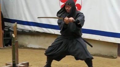 Ниндзя шоу в замке Ига Уэно