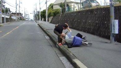 Подборка японской доброты