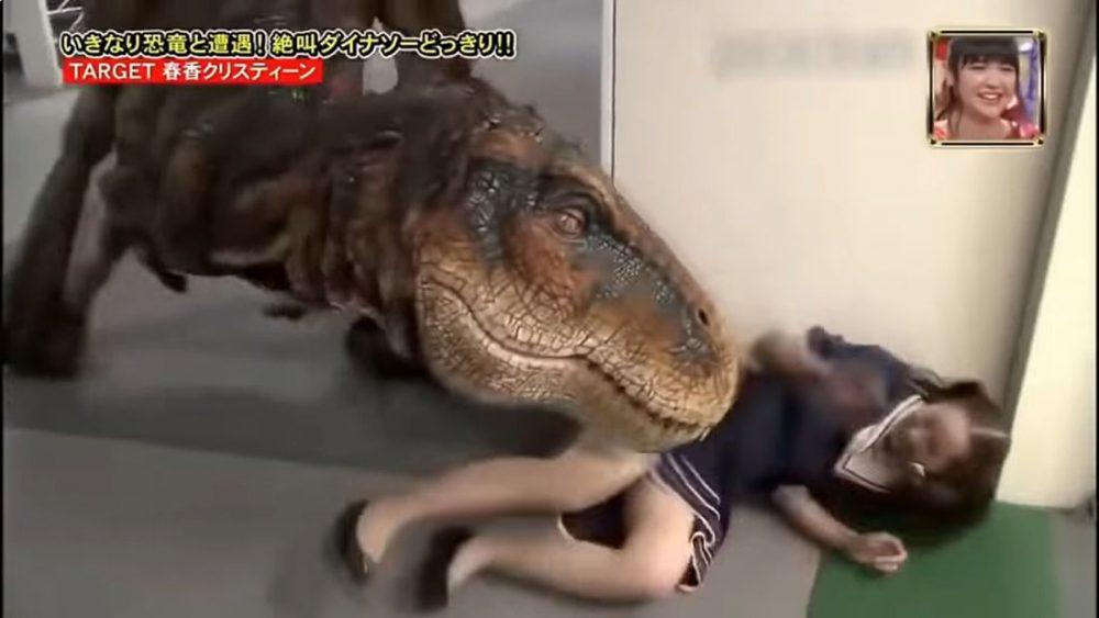 Asian Funny #5: Странные японские телешоу