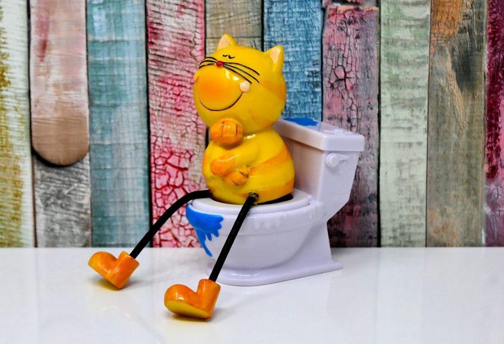 Личная танцовщица в туалете