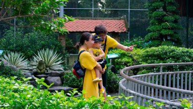 Подводные камни брака во Вьетнаме Подводные камни брака во Вьетнаме