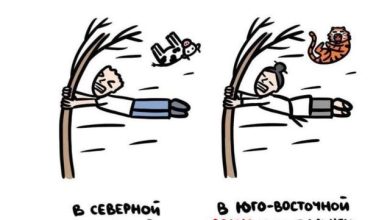 Занимательная Азия #1: У нас и в Азии Занимательная Азия #1: У нас и в Азии