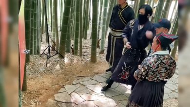 Ниндзя: Искусство броска